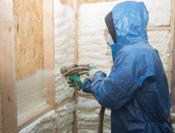 Professional Insulation in Pearsall, TX